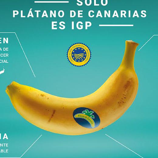 Platanos canarios bio