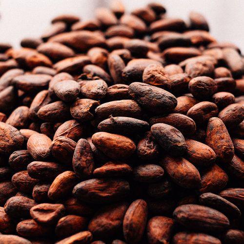 Cocoa beans