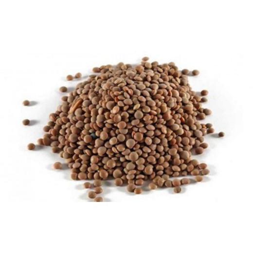 Pardina Lentils / Lentejas Pardiña